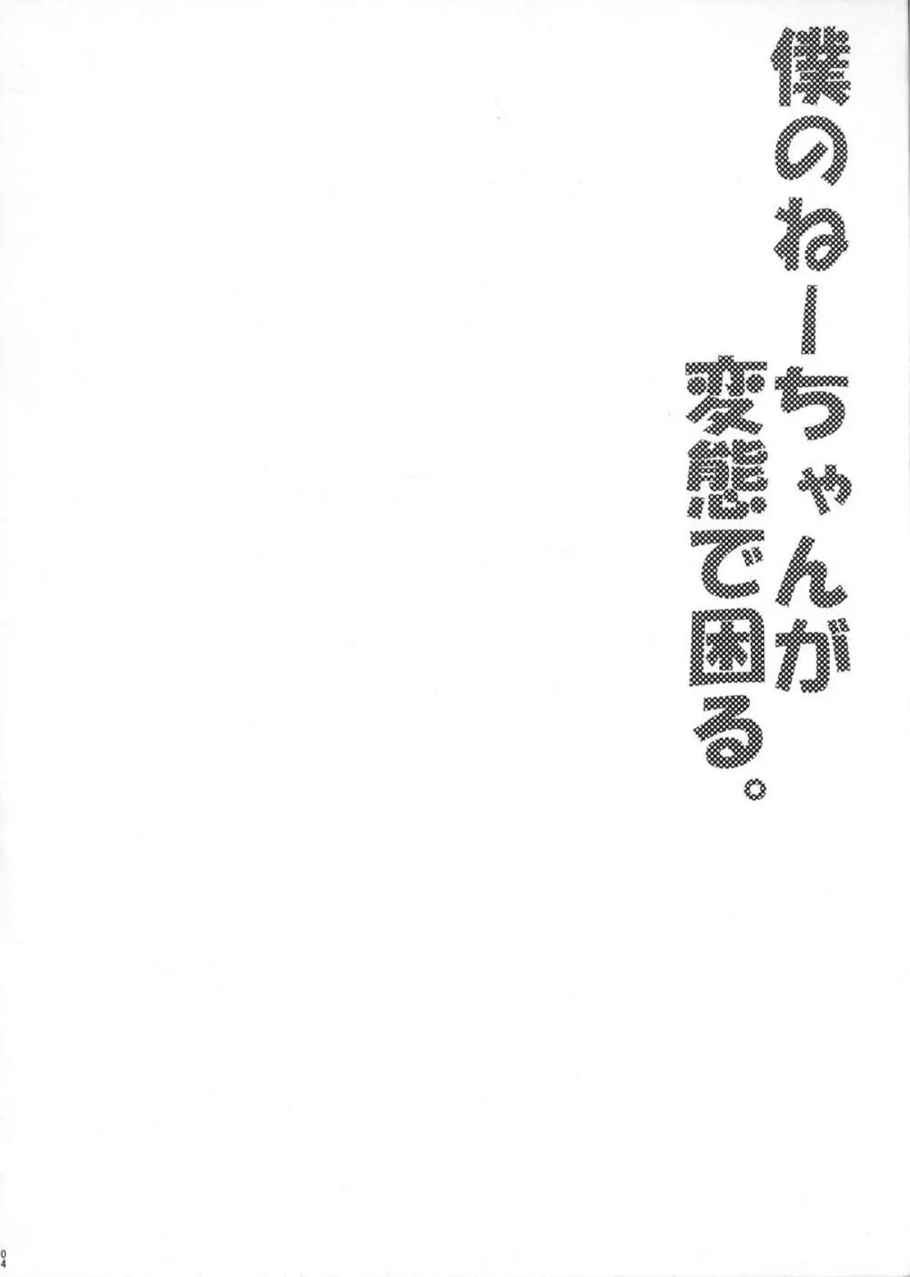 僕のねーちゃんが変態で困る。 - page3