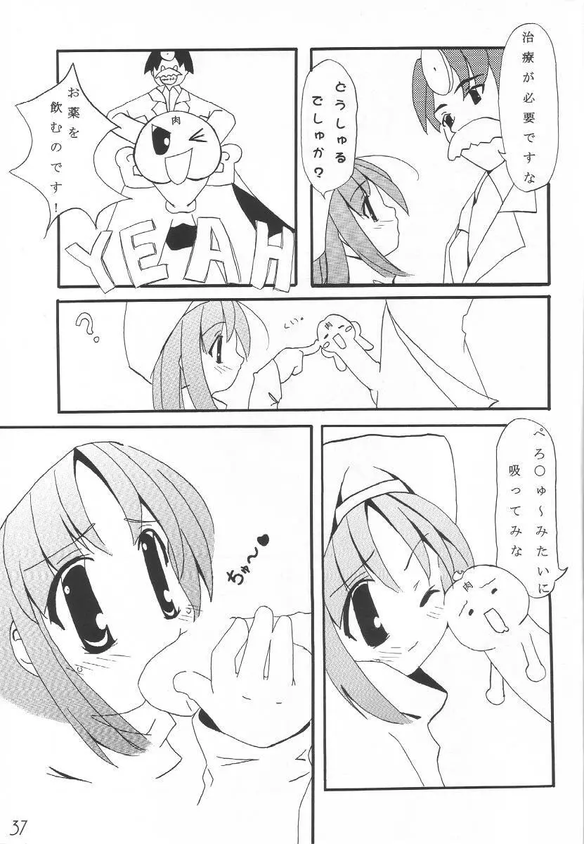 WILD FLOWERS - page36