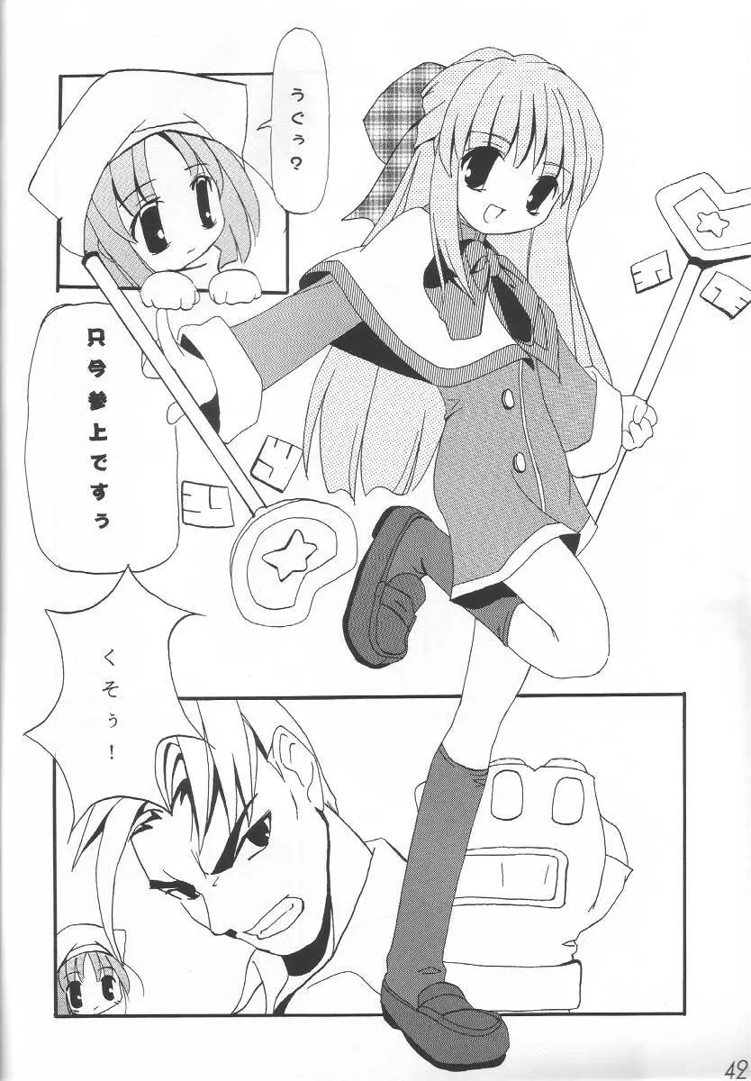 WILD FLOWERS - page41