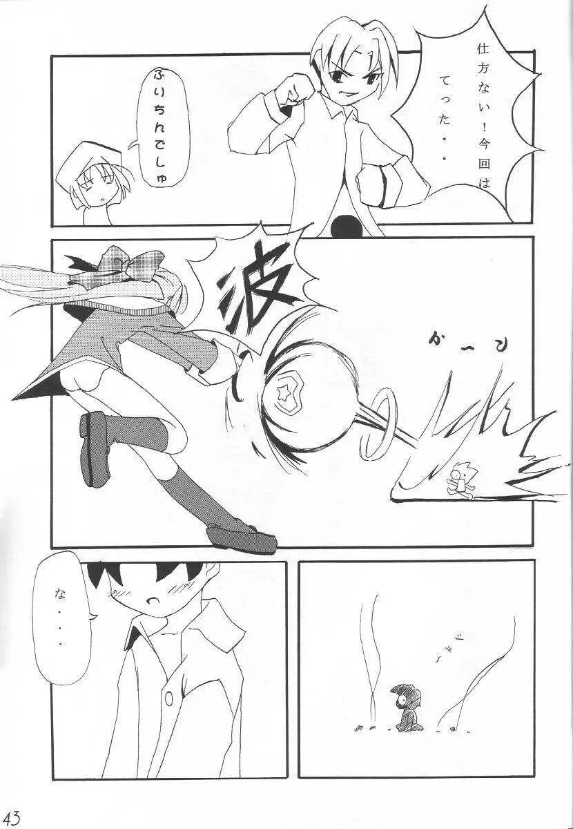 WILD FLOWERS - page42