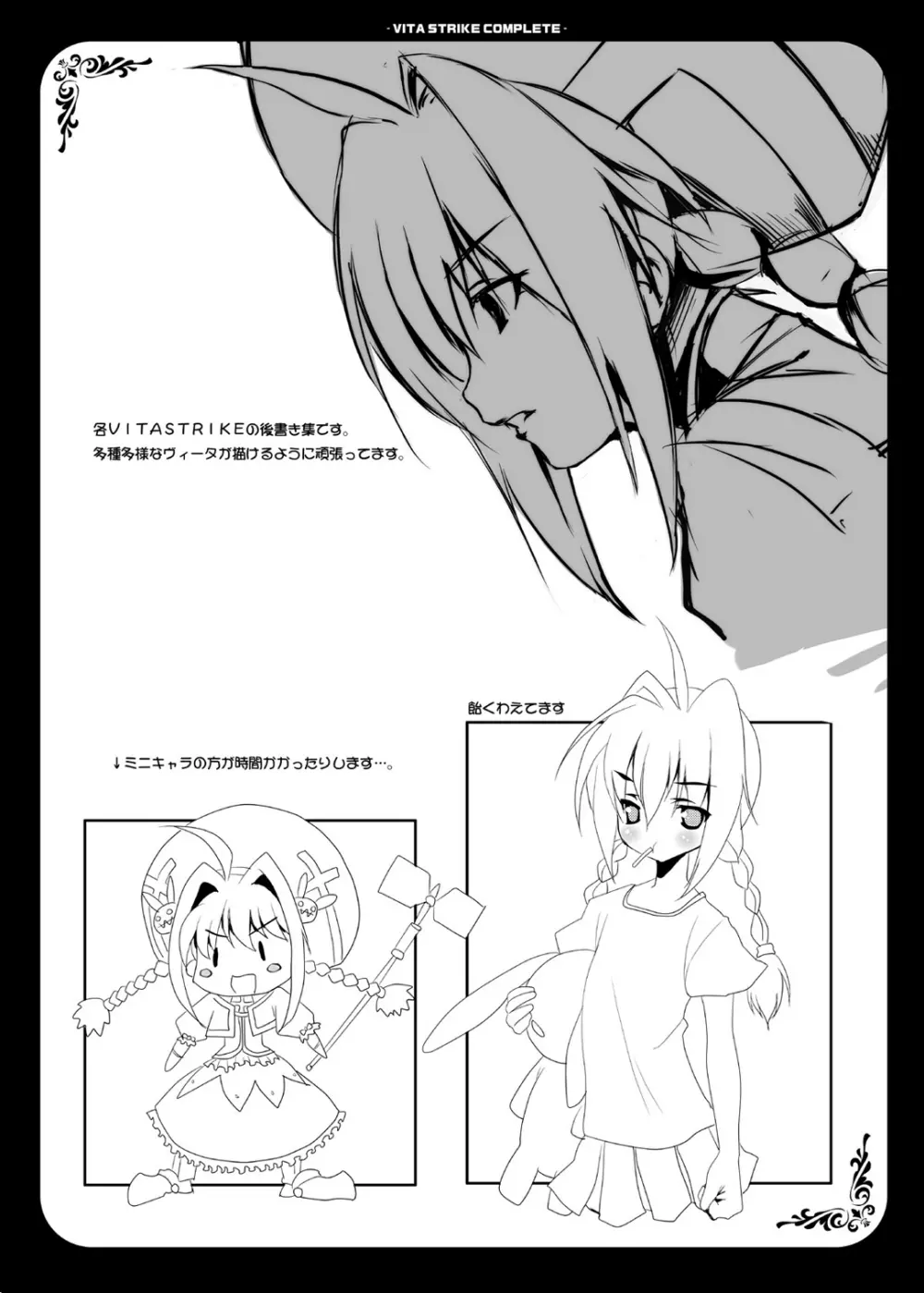 VITA STRIKE COMPLETE - page26