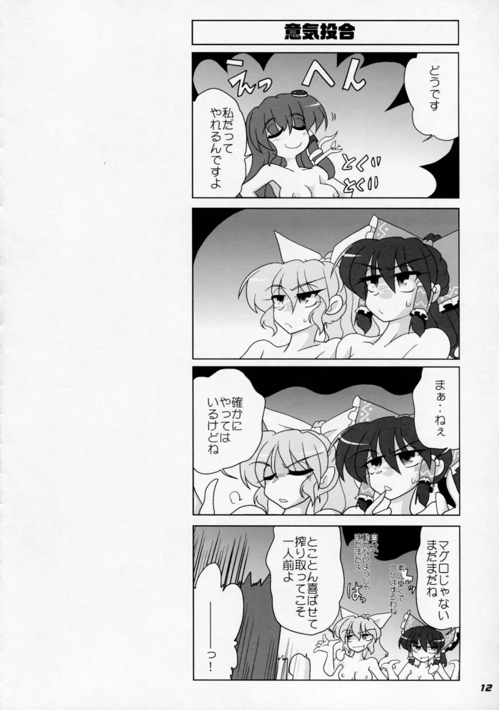 TOHO N+ M3 東方Project) - page13