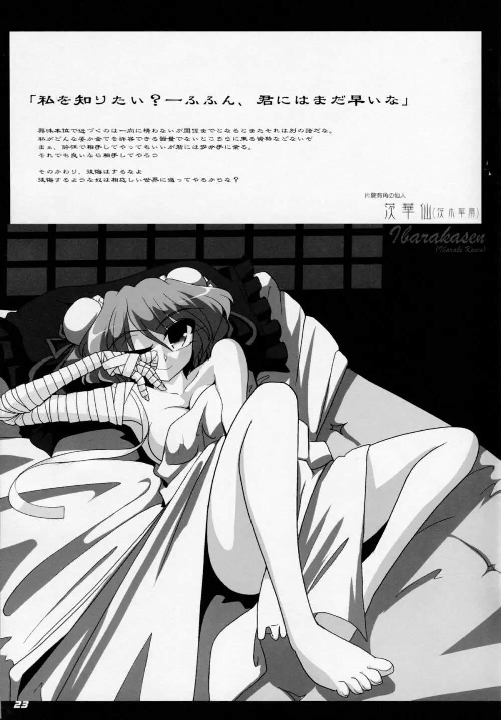 TOHO N+ M3 東方Project) - page24