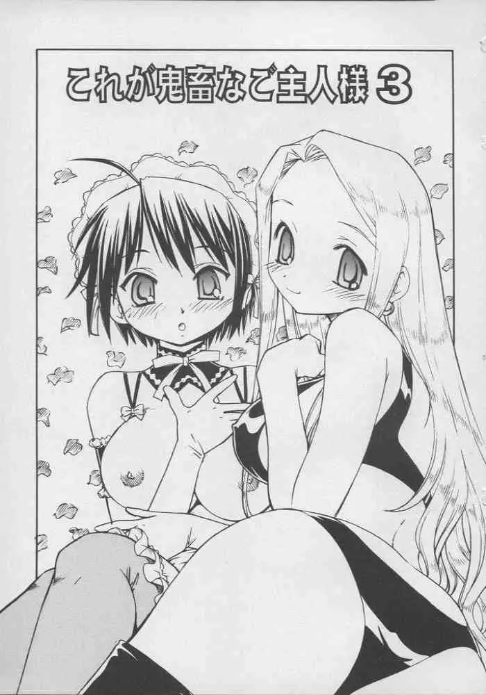 これが鬼畜な御主人様3 - page2