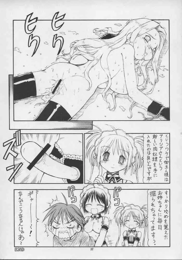 これが鬼畜な御主人様3 - page36