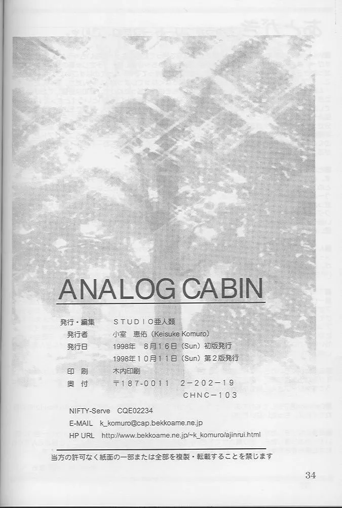 ANALOG CABIN - page34