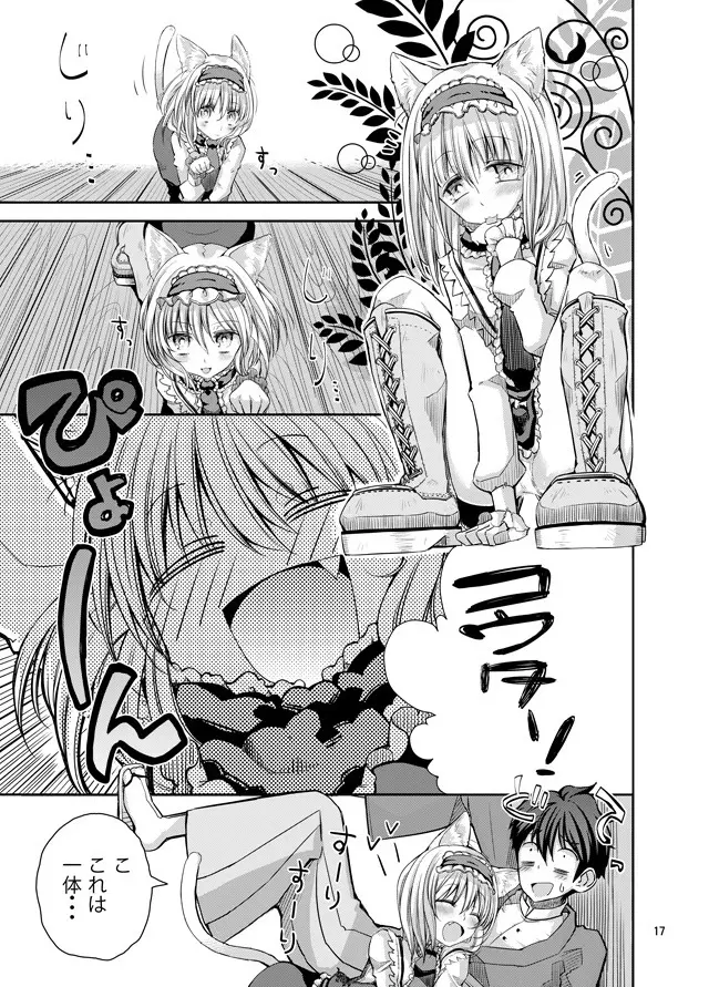 えっちなニャリスの作り方。 - page16