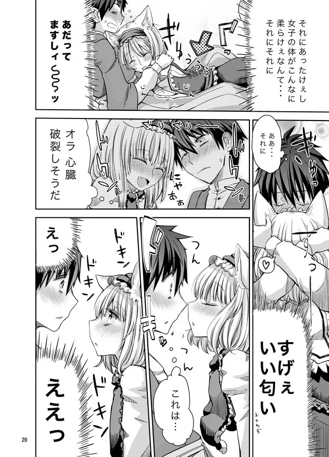 えっちなニャリスの作り方。 - page19