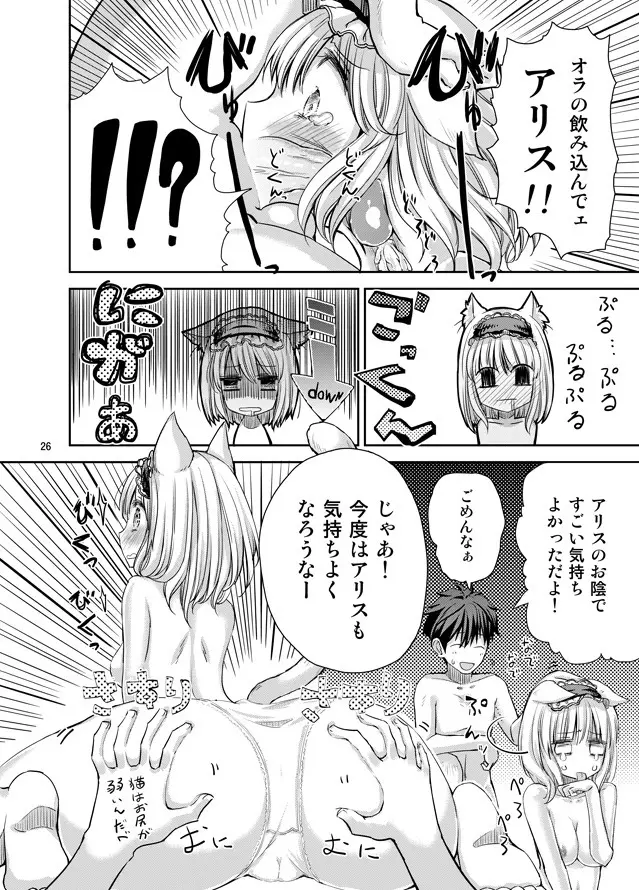 えっちなニャリスの作り方。 - page25