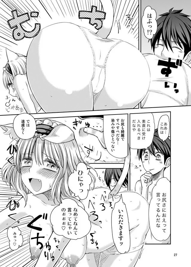 えっちなニャリスの作り方。 - page26