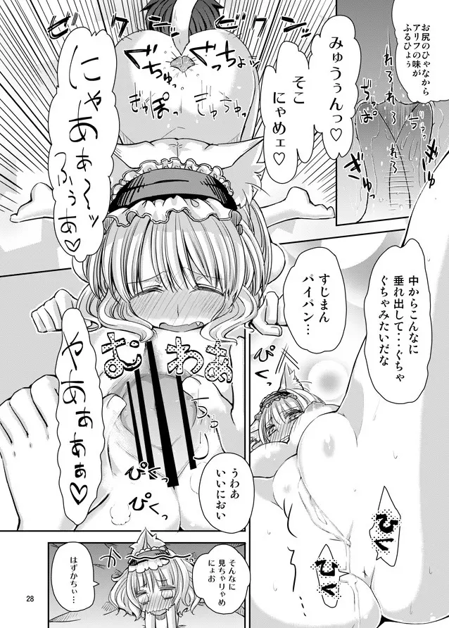 えっちなニャリスの作り方。 - page27