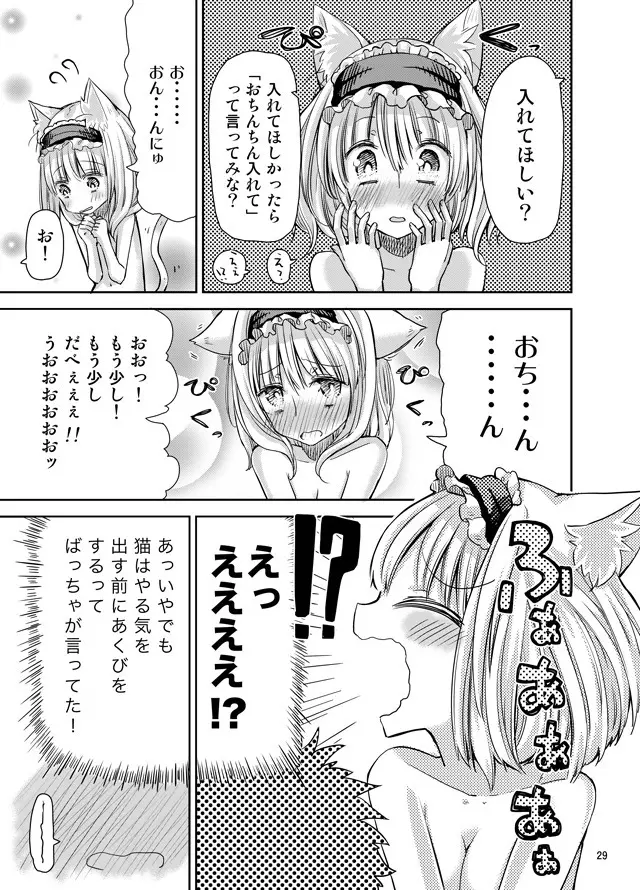 えっちなニャリスの作り方。 - page28
