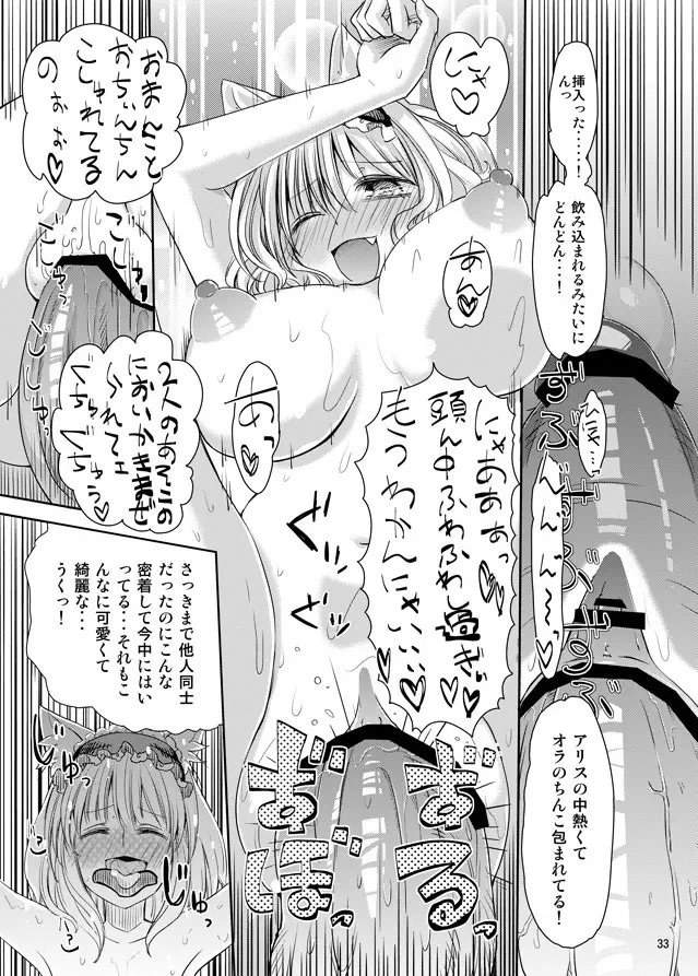 えっちなニャリスの作り方。 - page32