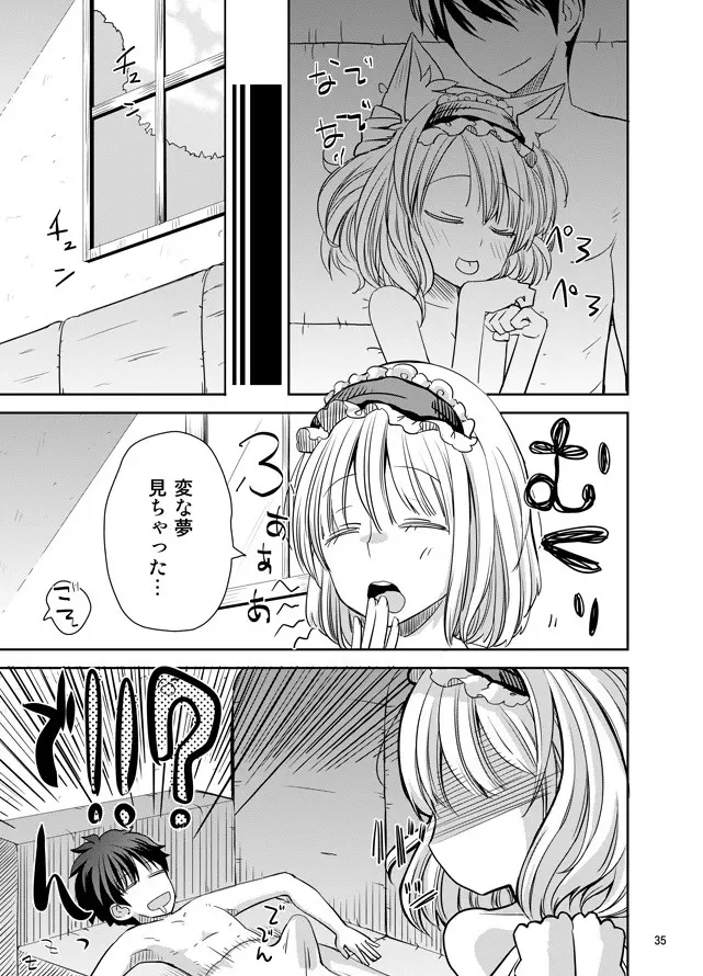 えっちなニャリスの作り方。 - page34