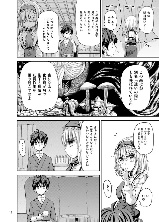 えっちなニャリスの作り方。 - page9