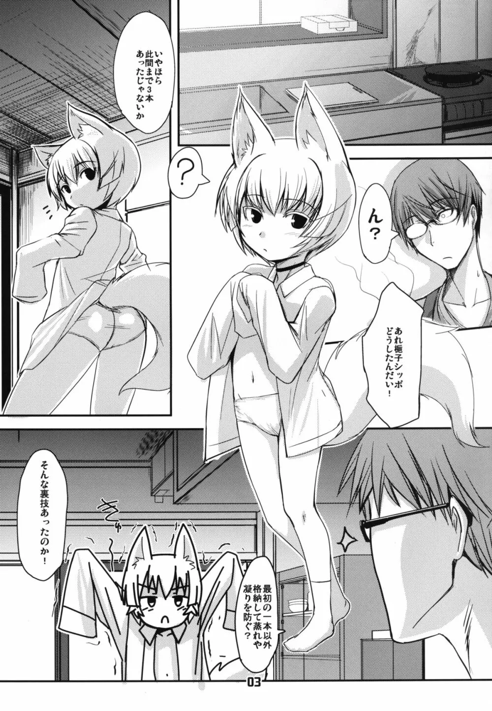 白狐の杜 其の捌 - page3