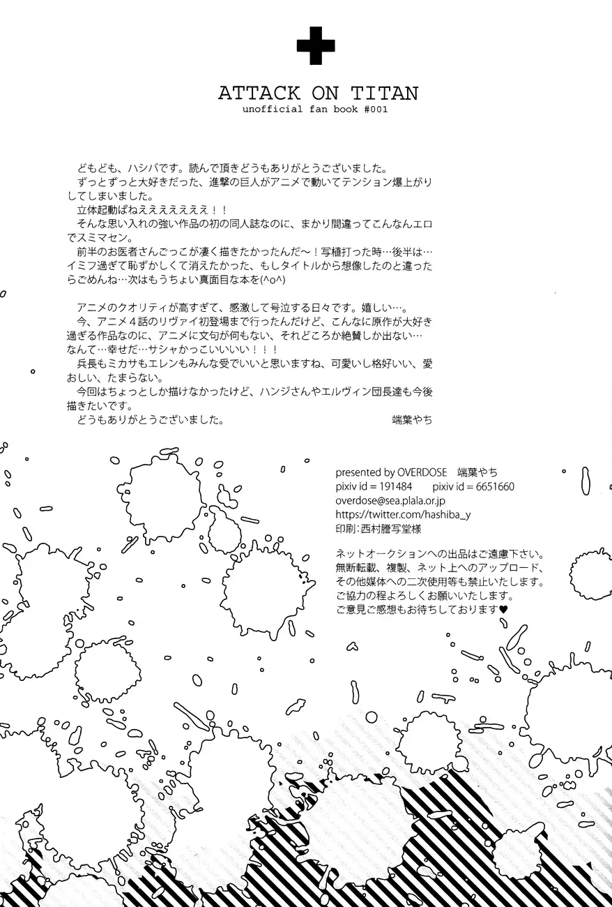 兵長とお医者さんごっこ - page29