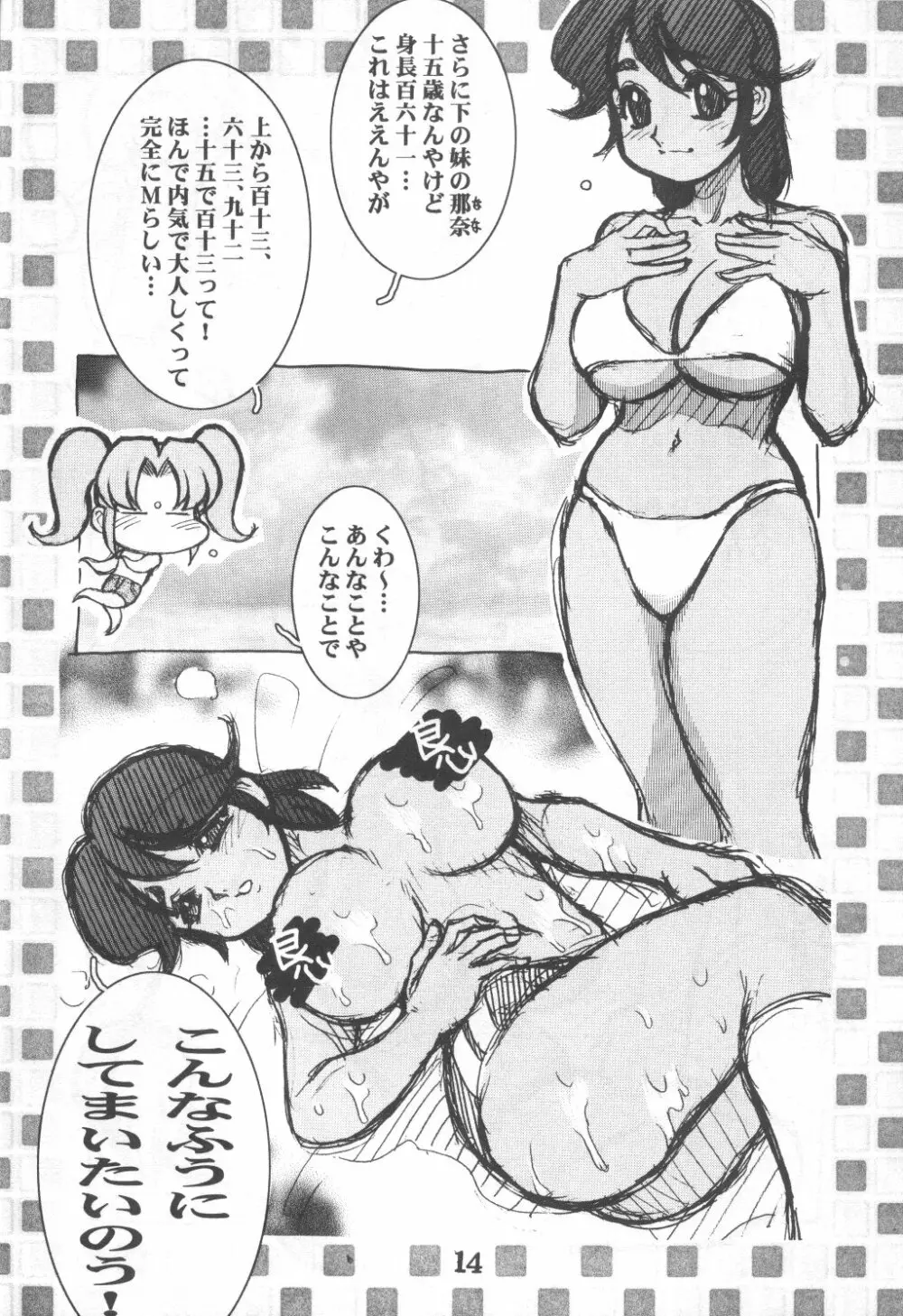 故障寸前 故障中 8 準備号 綾瀬家の人々 - page14
