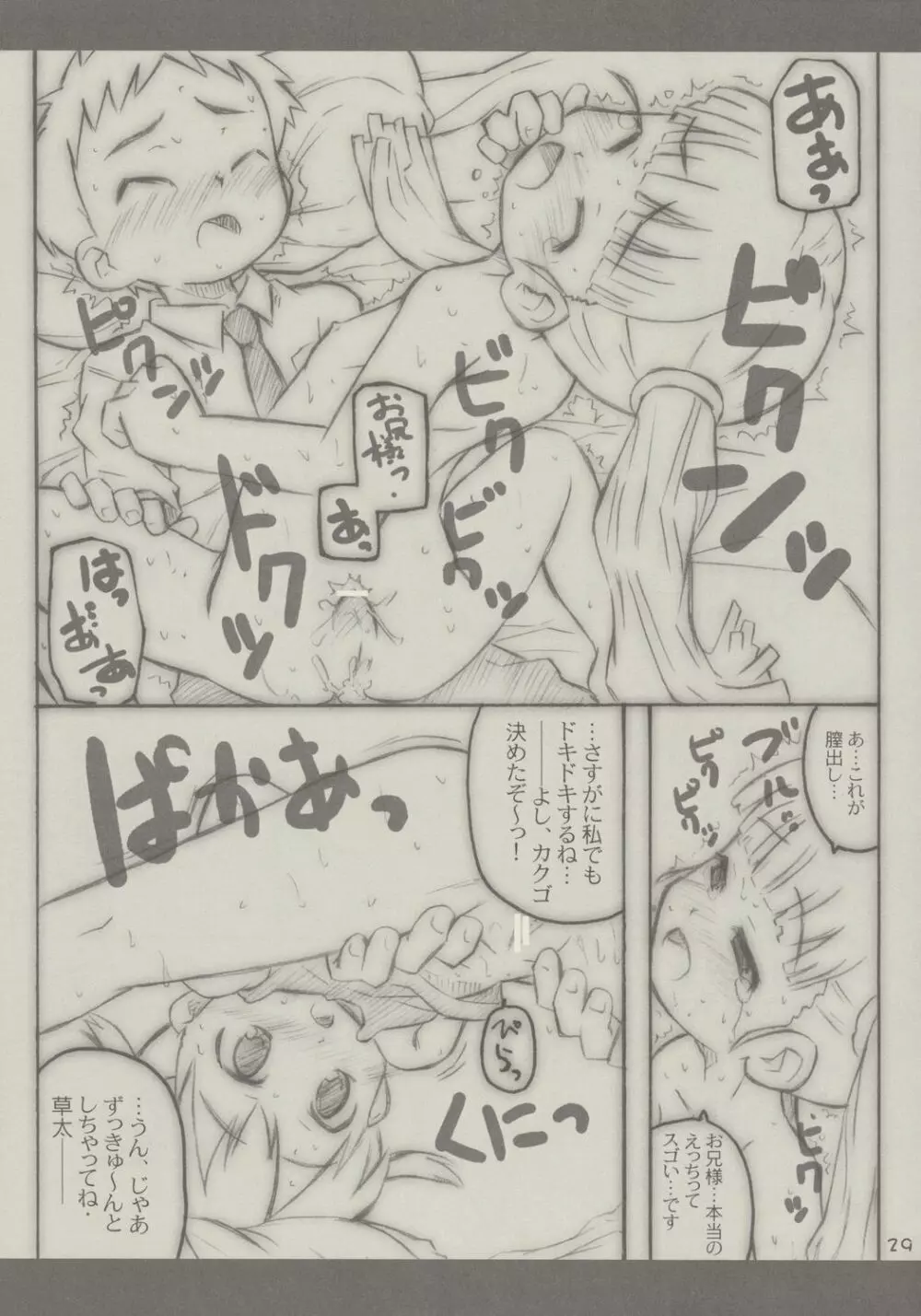あっぷるしーど - page28