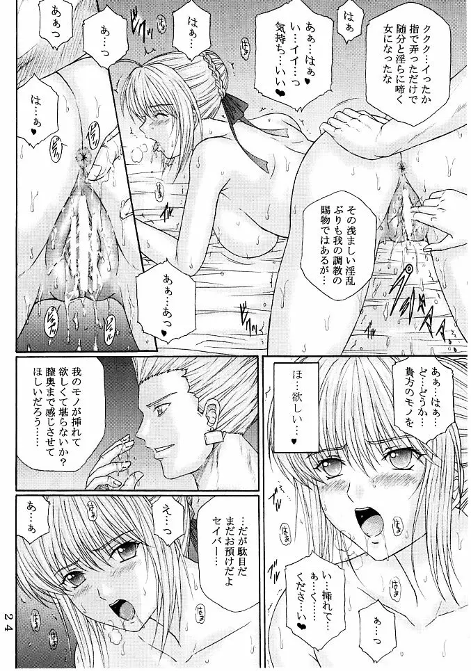 奴隷騎士 III - page23