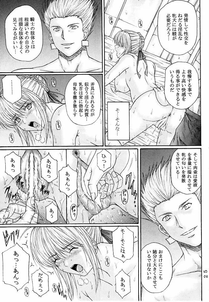 奴隷騎士 III - page24