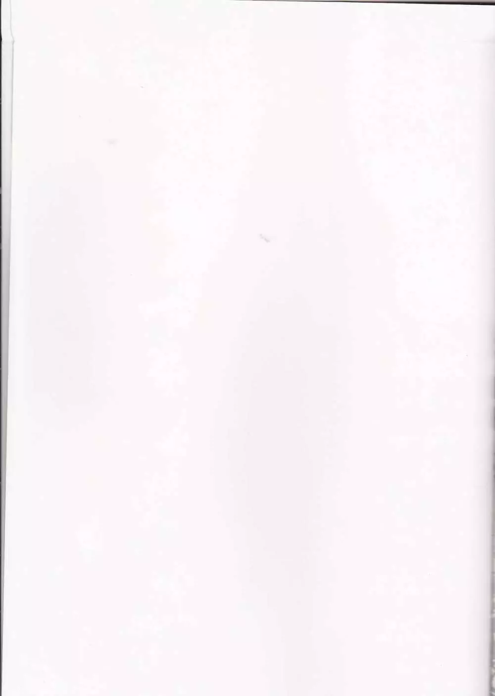 OBAmaniac - page2