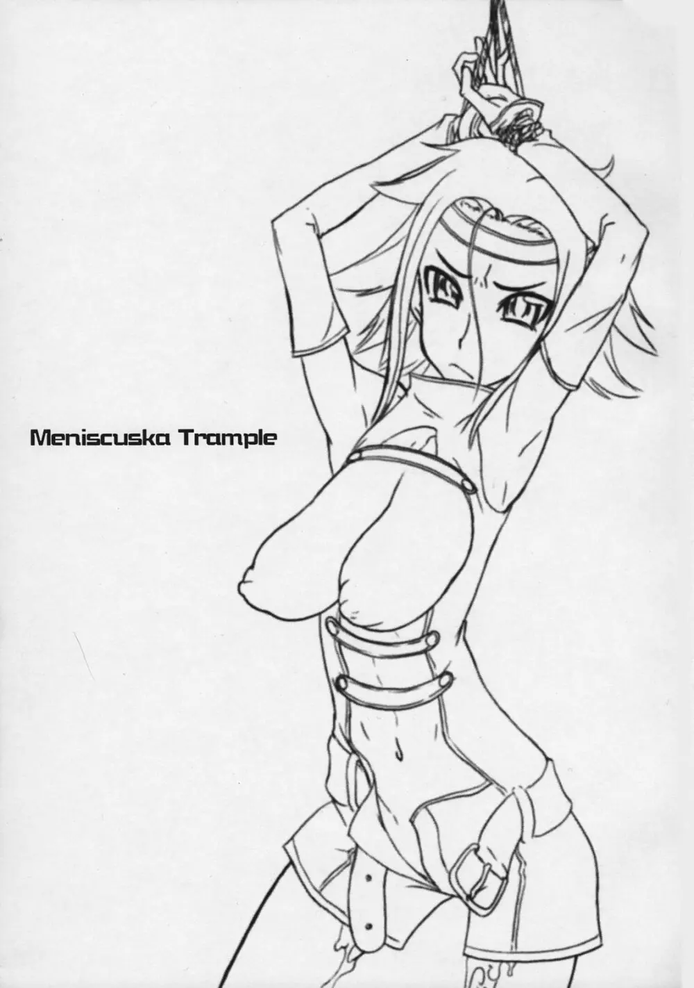 MENISCUSKA TRAMPLE - page2