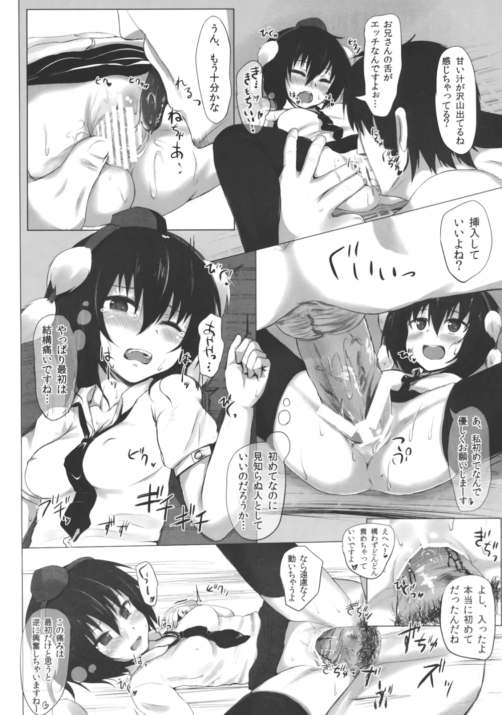 射命丸秘探訪録 - page10