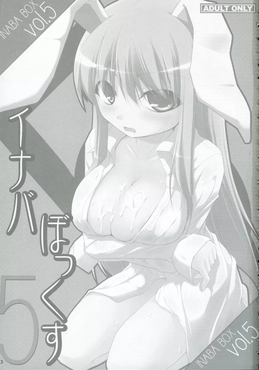 イナバぼっくす 5 - page2