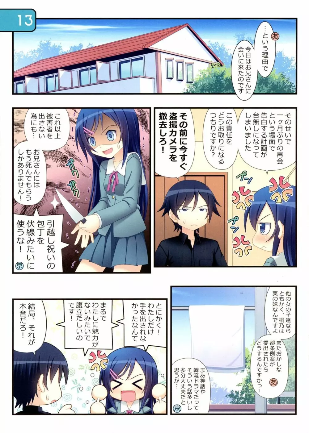 IRIS12 - page13