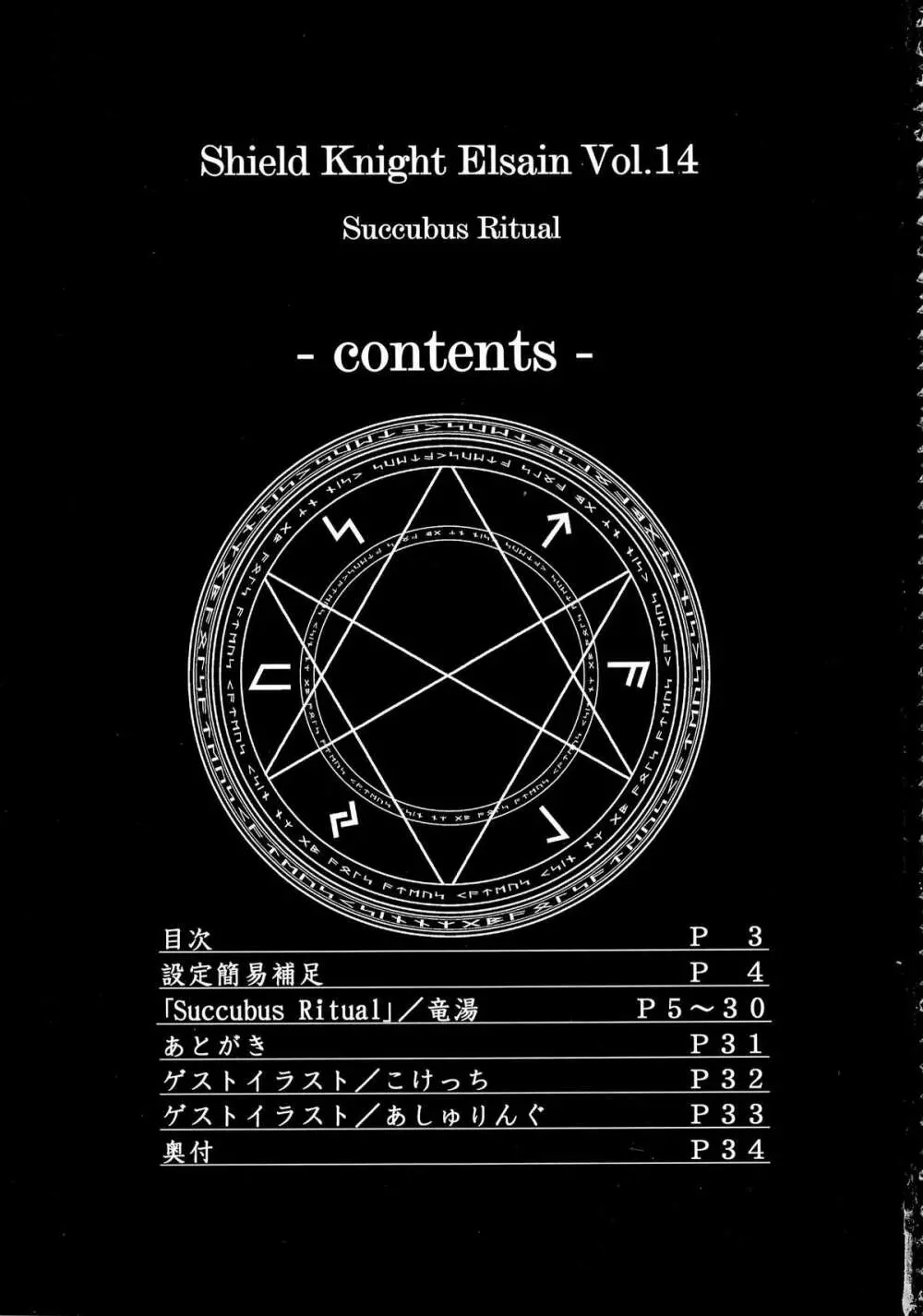 煌盾装騎エルセイン Vol.14 SuccubusRitual - page2