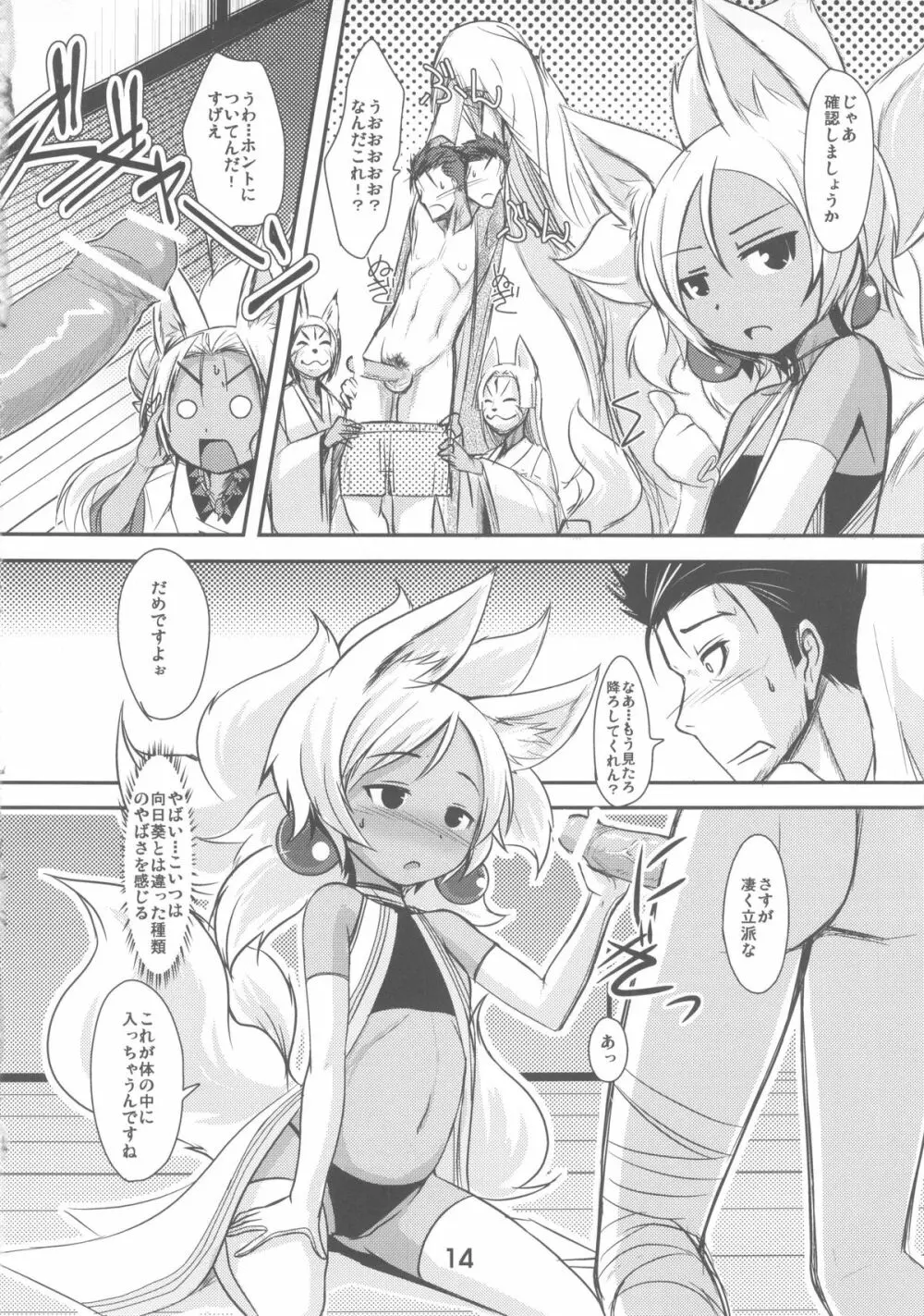 双狐の帳 - page14