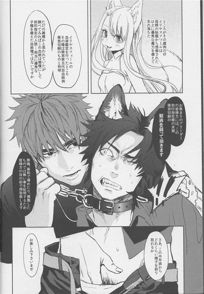 Fate Wolf - page9