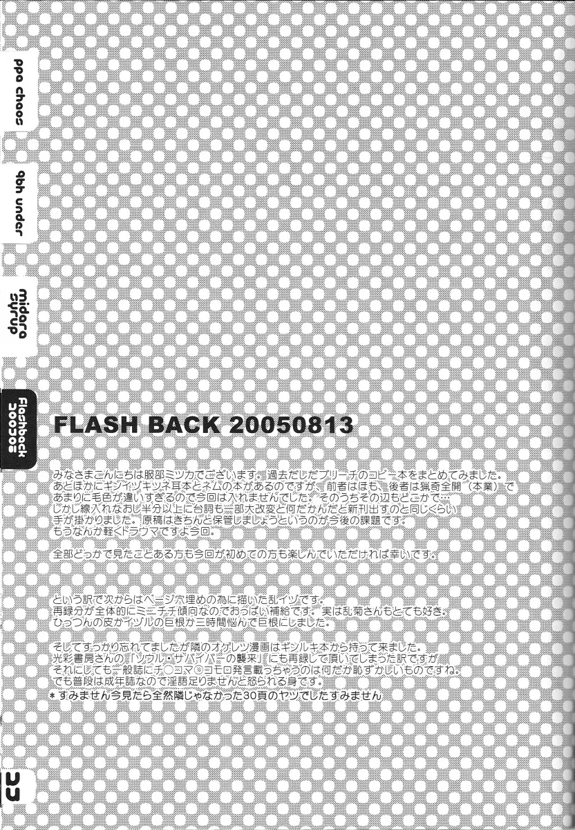 FLASH BACK 20050813 - page24
