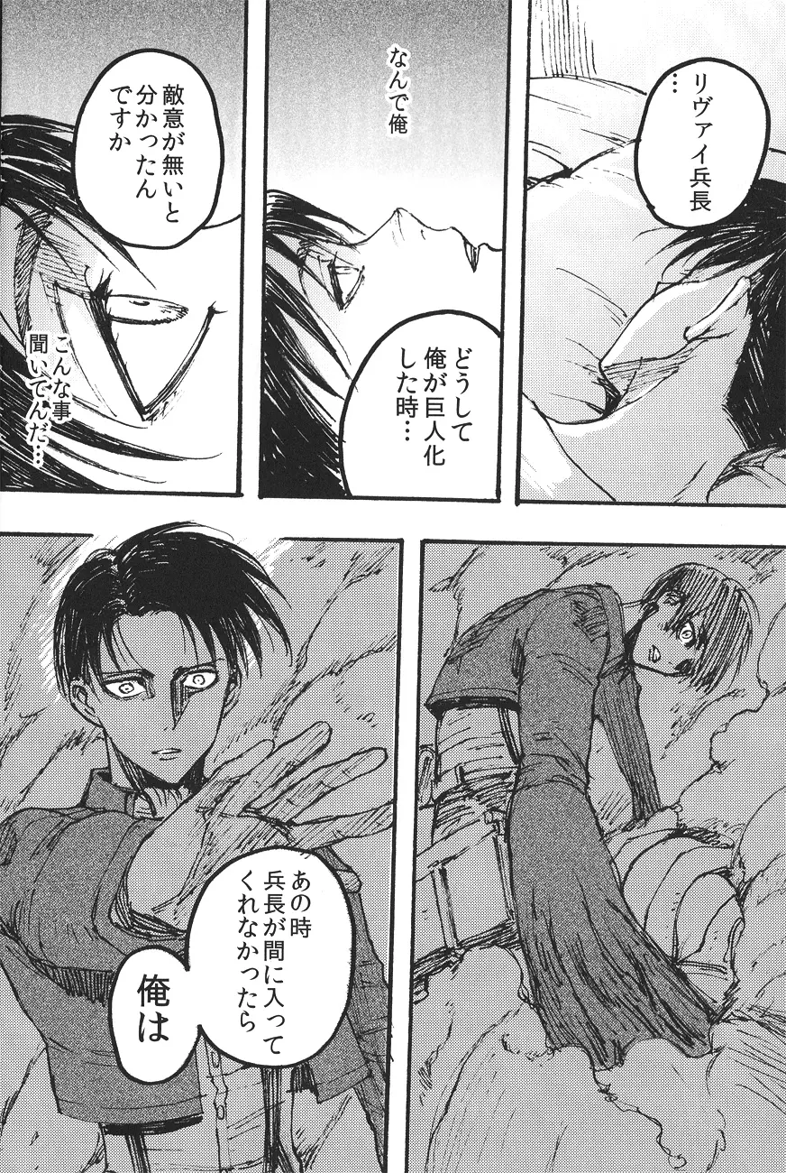 Ficus 1 - page13