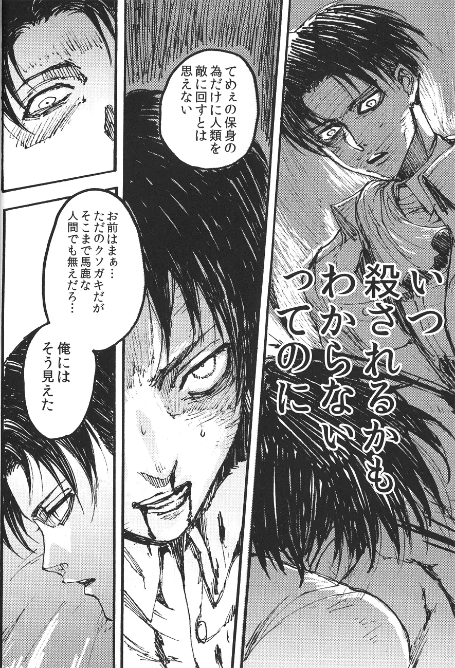 Ficus 1 - page15