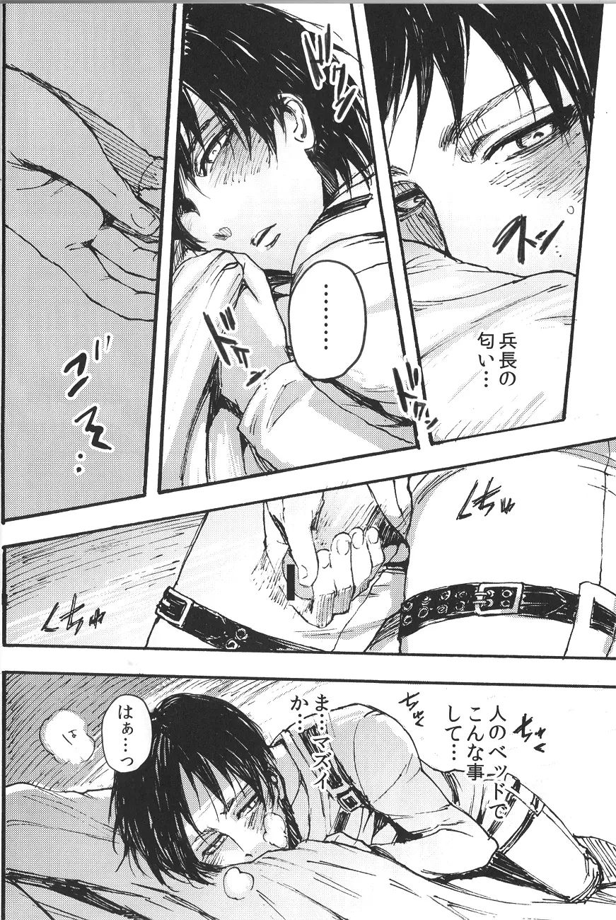 Ficus 1 - page21