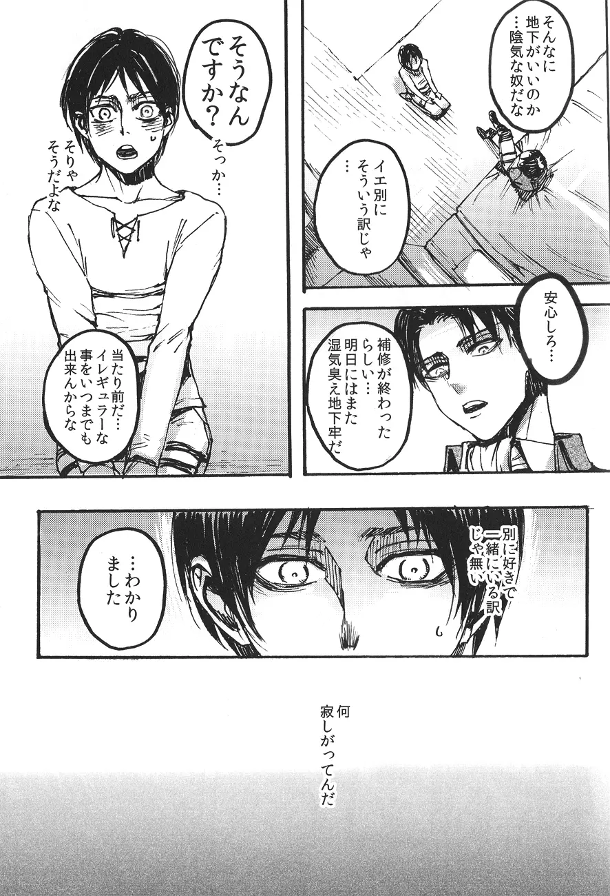 Ficus 1 - page24