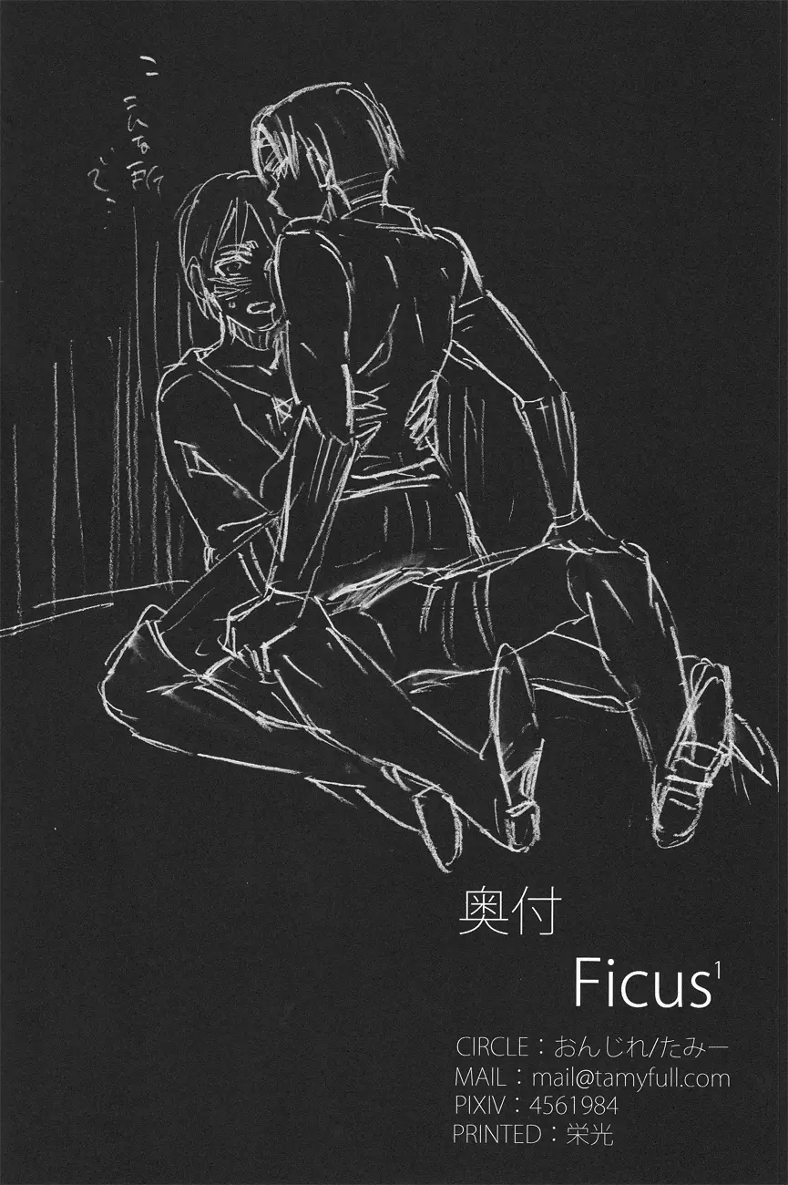 Ficus 1 - page41