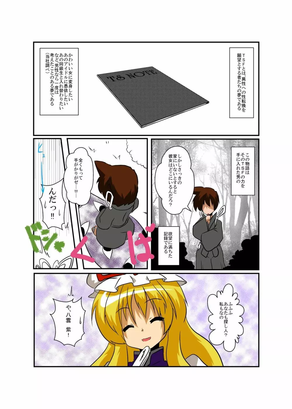 東方ＴＳ物語～紫編～ - page4