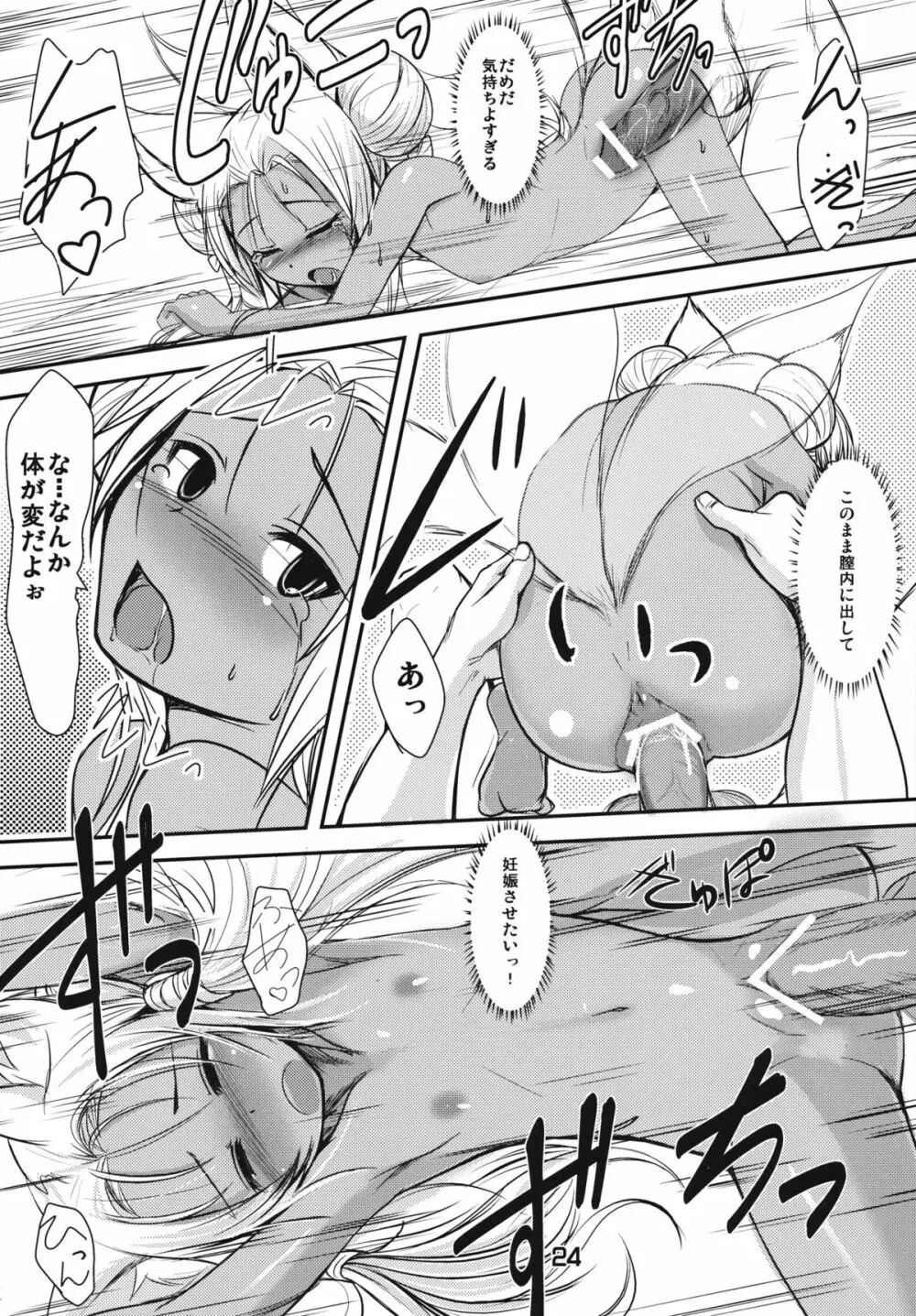 双狐の帳 - page23