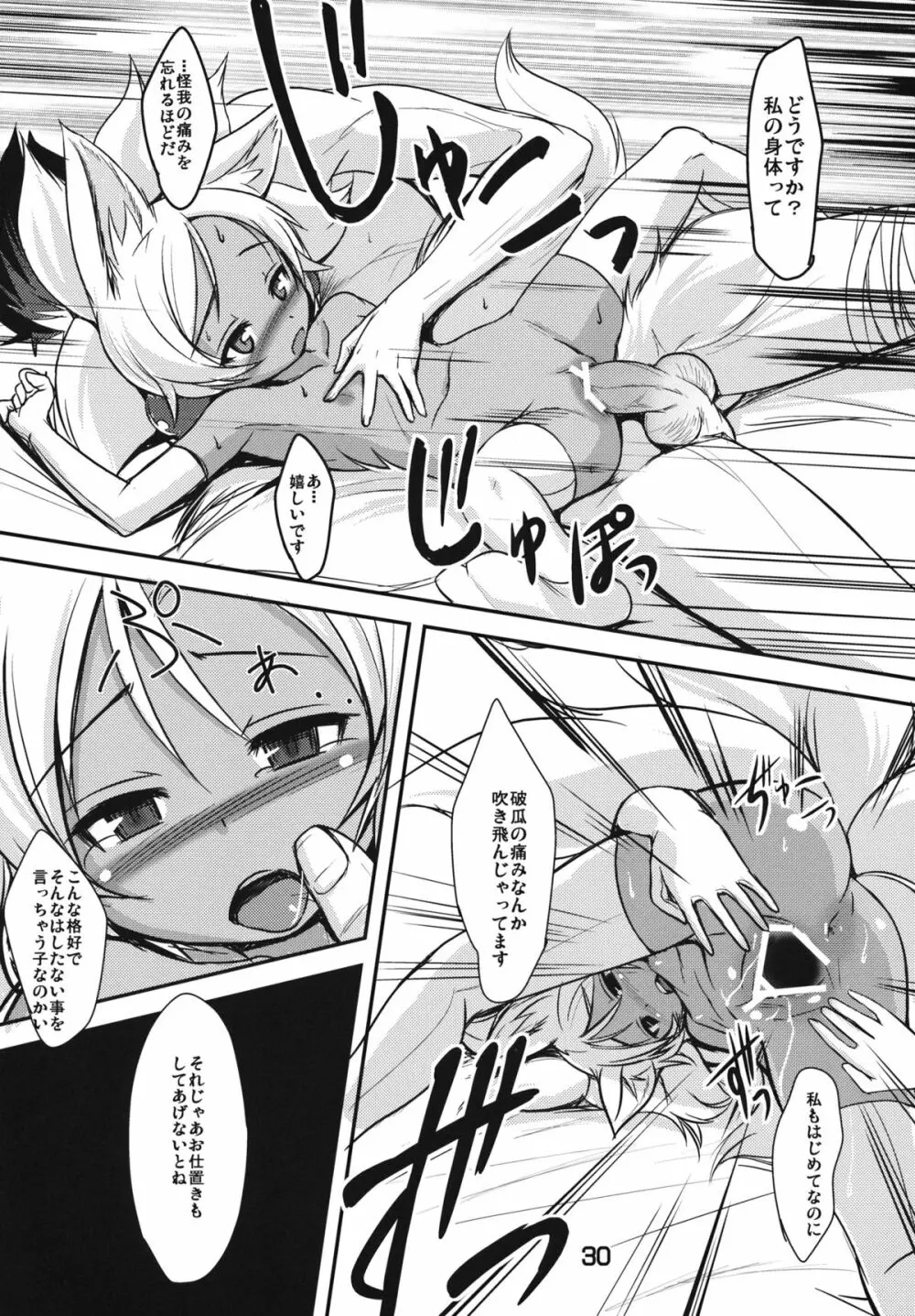 双狐の帳 - page29