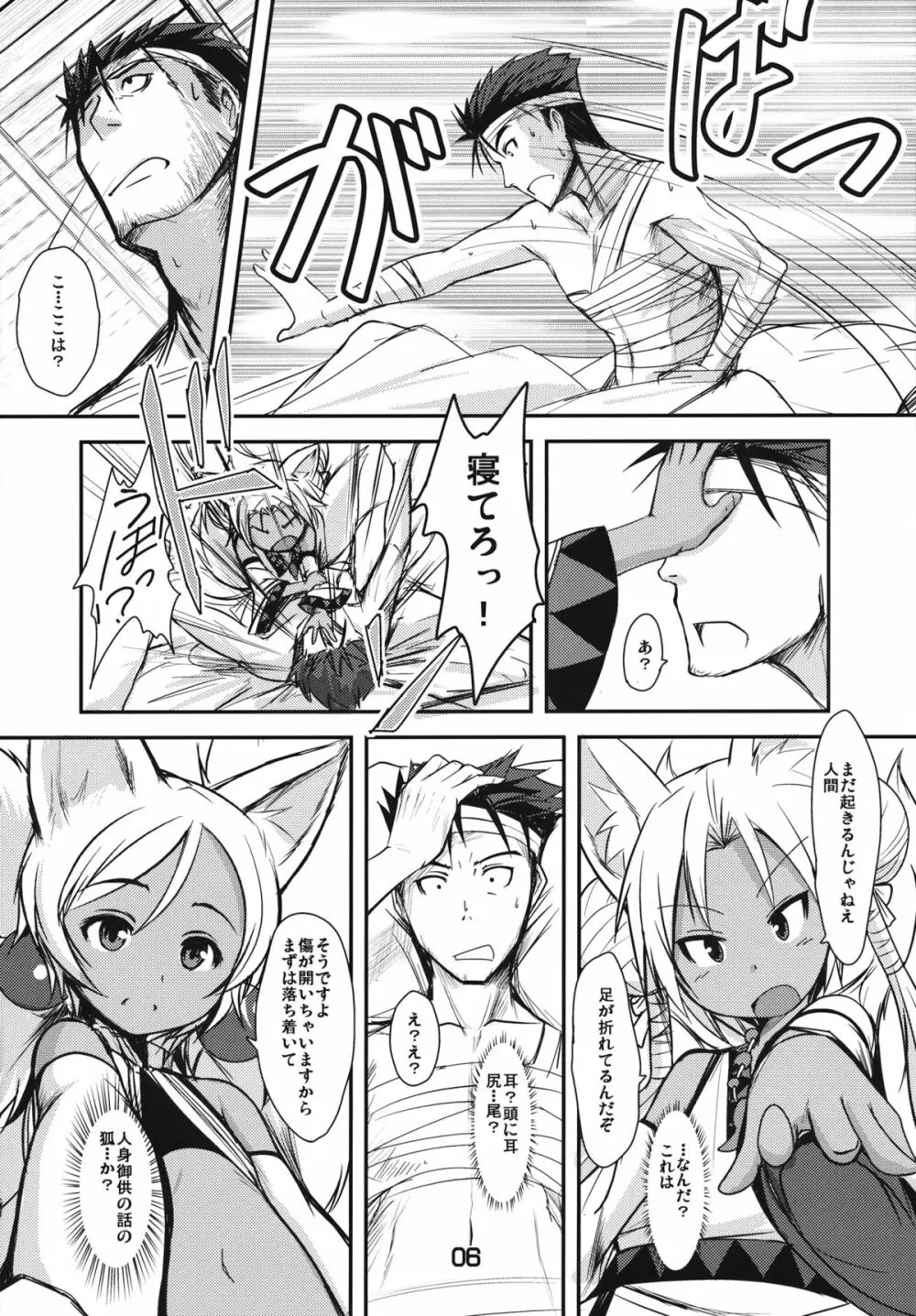 双狐の帳 - page5