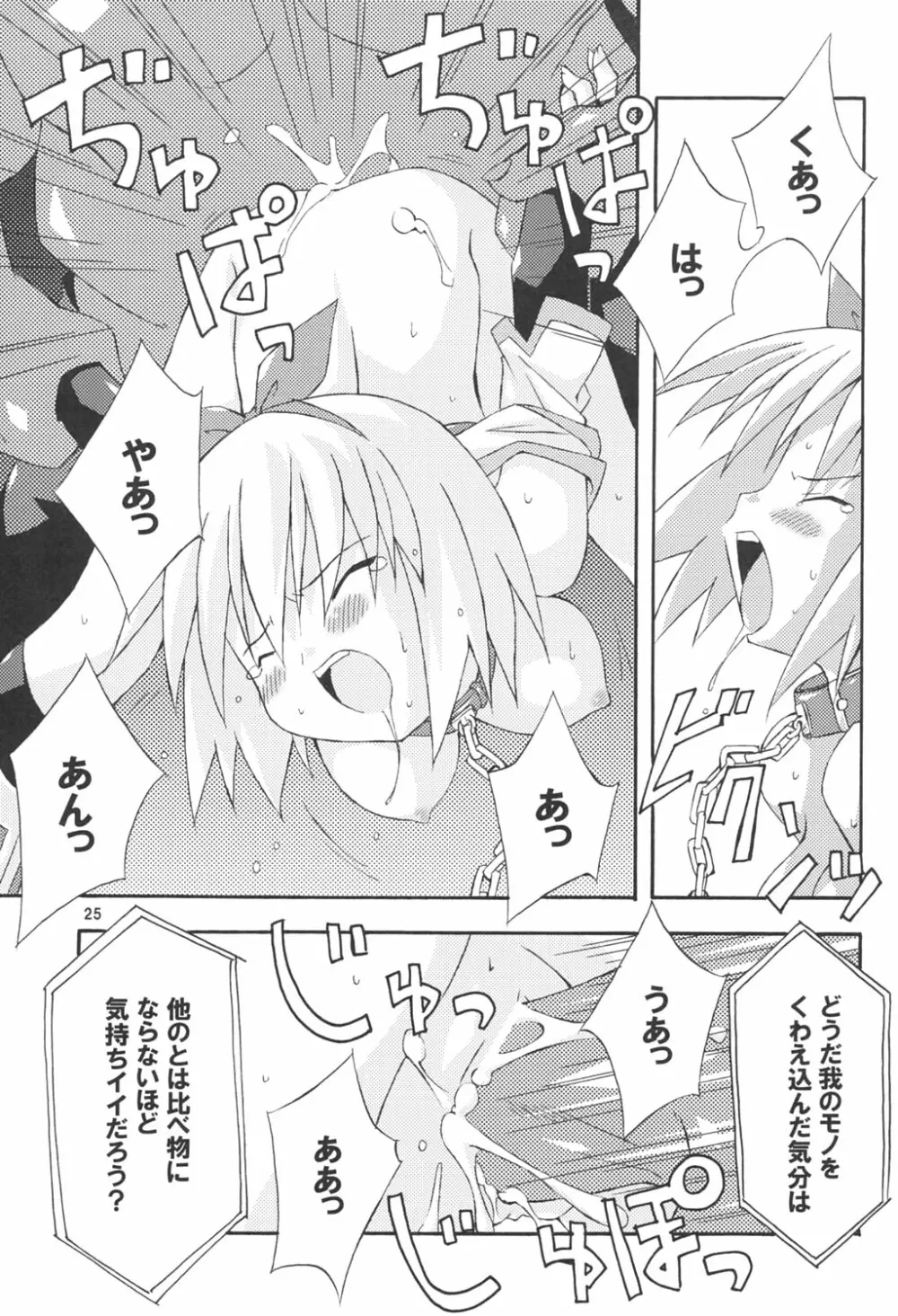 bird cage - page24