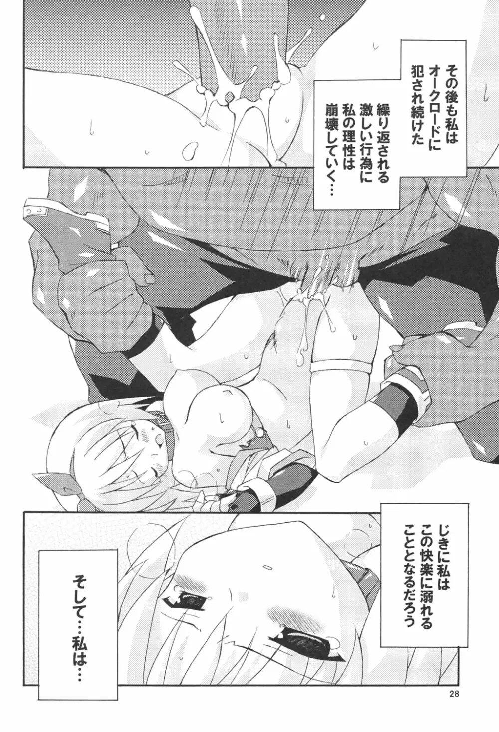 bird cage - page27