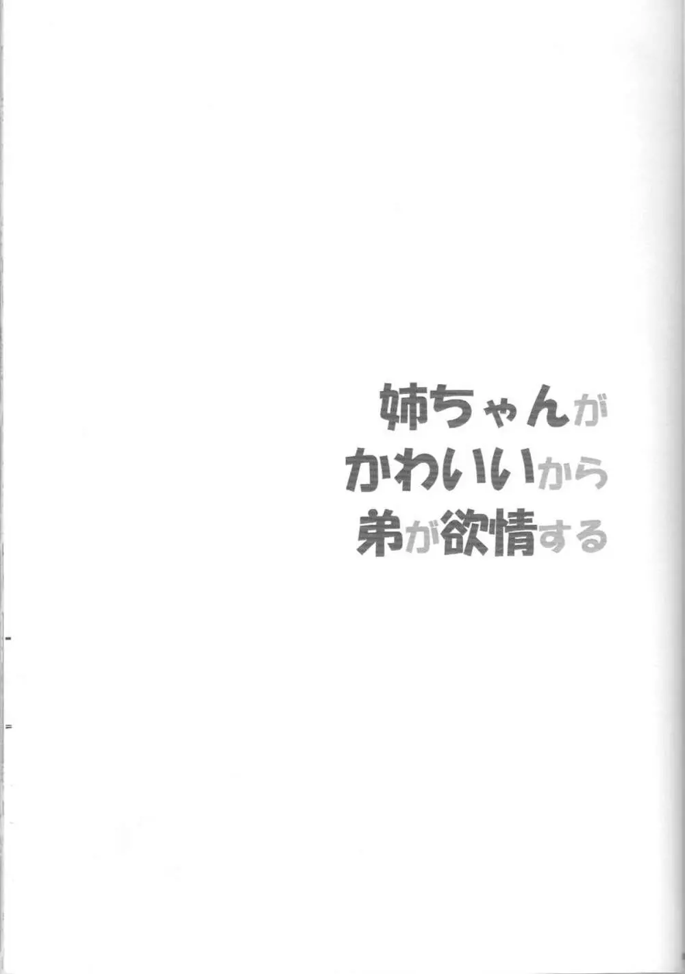 姉ちゃんがかわいいから弟が欲情する - page2