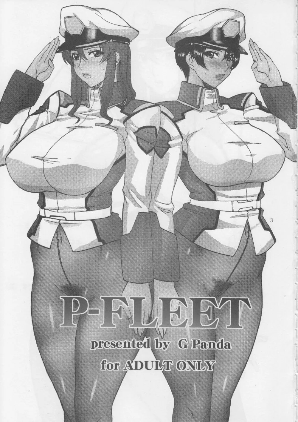 P-FLEET - page2