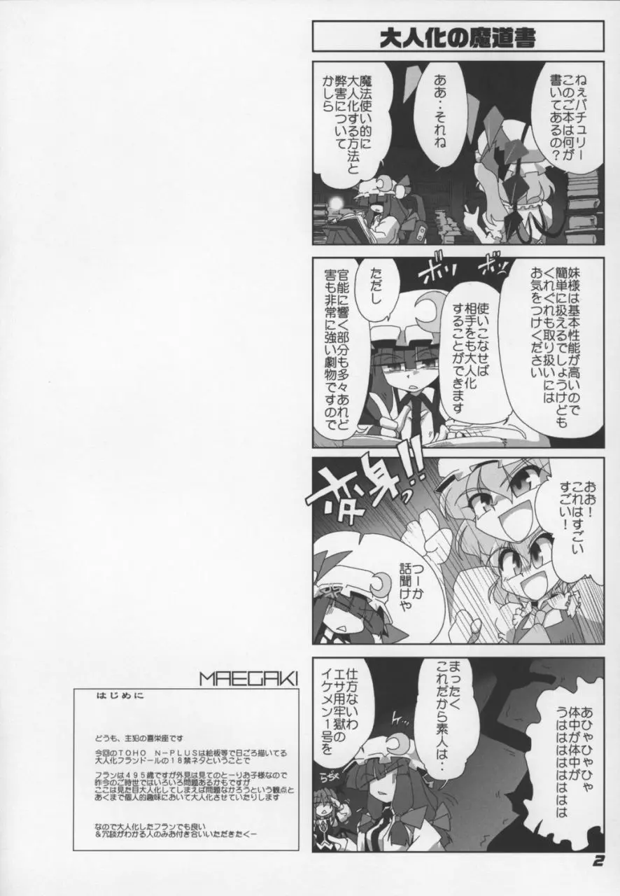 TOHO N+ Change to adult FLANDRE - page4