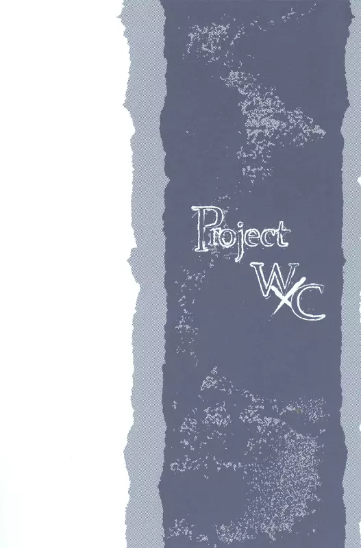 Project WxC - page15