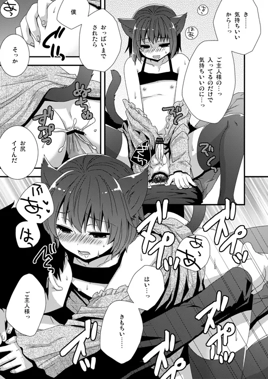 子猫拾いました - page5